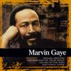 Gaye, Marvin : Collections