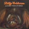 Cobham, Billy : A Funky Thide of Sings