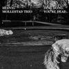 Hedvig Mollestad Trio : Ding dong. you´re dead.
