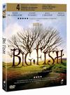 Big Fish