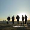 Los Lobos : Native Sons
