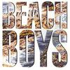 Beach Boys : The Beach Boys
