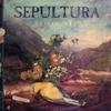 Sepultura : SepulQuarta