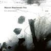 Wasilewski, Marcin Trio : En attendat