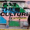 Alborosie : For the Culture