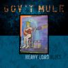 Gov't Mule : Heavy load blues