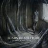 Scars Of Solitude : If These Walls Could Talk