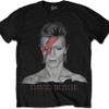 Bowie, David : Aladdin Sane