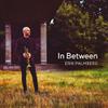 Palmberg, Erik : In between