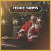 Swims, Teddy : A very teddy christmas