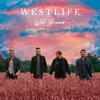 Westlife : Wild dreams