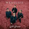 Westlife : Wild dreams