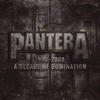 Pantera : 1990-2000 - A decade of domination