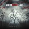SUPERDEATHFLAME : Dead is Dead