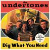 Undertones : Dig what you need - best of 2003-2007