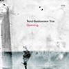 Tord Gustavsen Trio : Opening