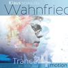 Schulze, Klaus / Klaus Schulze's Wahnfried : Trance 4 motion