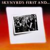 Lynyrd Skynyrd : Skynyrd's First And... Last
