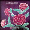 Rundgren, Todd : Something / anything (50th anniversary edition)