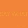 Say What : Say What