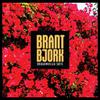 Bjork, Brant : Bougainvillea suite
