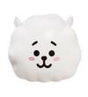BTS : Bt21 rj cushion