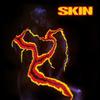 Skin : Collectors digipak 3cd set