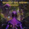 Merryweather Stark Wackerman : Cosmic Effect
