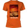 Alice In Chains : Dirt (orange)