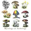 Allman Brothers Band : Mycology: an anthology