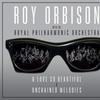 Orbison, Roy : A love so beautiful / unchained melodies