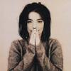Björk : Debut