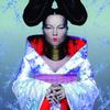 Björk : Homogenic