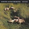 Acoustic Guitar Orchestra : Odyssee