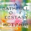 Hot Chip : A bath full of ecstasy