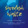 Mattias Åström Trio : Swedish waltz