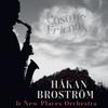Håkan Broström & New Places Orchestra : Cosmic friends