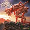 Cattle Decapitation : Terrasite