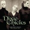Dixie Chicks : Wide open spacies: the Dixie Chicks collection