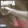 Pantera : Vulgar Display of Power