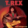 T. Rex : Bang A Gong (Get It On)
