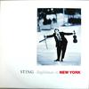 Sting : Englishman In New York