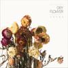 Dry Flower : Dry flower vol.1