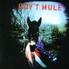 Gov't Mule : Gov't Mule