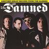 Damned : The Best of the Damned