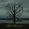 Biffy Clyro : Black chandelier / Biblical