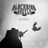 Blackbird Angels : Solsorte