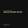 New Old Luten Trio : White Power Blues