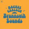 Carlson, Magnus : Brunnsvik Sounds
