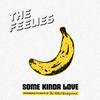 Feelies : Some kinda love: performing the music of The Velvet Underground
